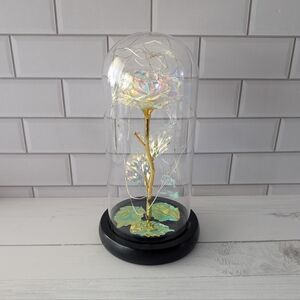 Princess Forever Rose w/ lights in Glass Dome